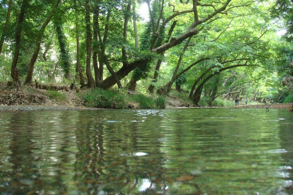 The Villa Averoff Kirinthos Номер фото